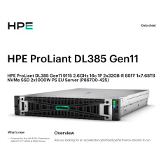 HPE PL DL385g11 AMD EPYC 9115 (2.6/16C) 2x32G (P64985) 1x7.68TB NVMe MR408i-o 2x1000W 8SFF 2p10GT Smart Choice