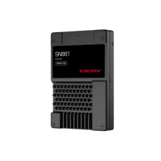 SanDisk Carrera Syndicate SSD 12.8TB DC, SN861, PCIe Gen5, (R:13700, W:8400MB/s), BICS6 TLC NVMe U.2, SE,Generic SanDisk Carrera Syndicate SSD 12.8TB DC, SN861, PCIe Gen5, (R:13700, W:8400MB/s), BICS6 TLC NVMe U.2, SE,Generic