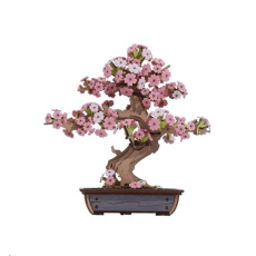 RoboTime 3D dřevěná skládačka Bonsaj sakura RoboTime 3D dřevěná skládačka Bonsaj sakura