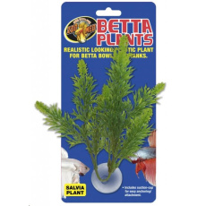 Rostl.akv.ZMD Betta Plant Salvia