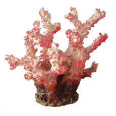 Dekor.akv.FER koral cerveny