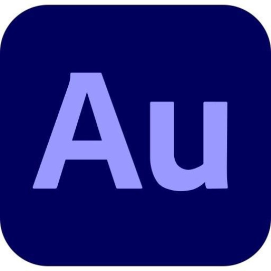 Audition for teams, Multi Platform, Viacero jazykov Government, 1 používateľ, 12 mesiacov, Level 4, 100+ Lic