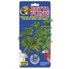 Rostl.akv.ZMD Betta Plant Papaya Rostl.akv.ZMD Betta Plant Papaya