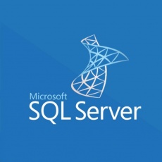 SQLSvrEntCore 2019 OLP 2Lic NL Gov CoreLic Qlfd SQLSvrEntCore 2019 OLP 2Lic NL Gov CoreLic Qlfd